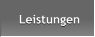 Leistungen Leistungen